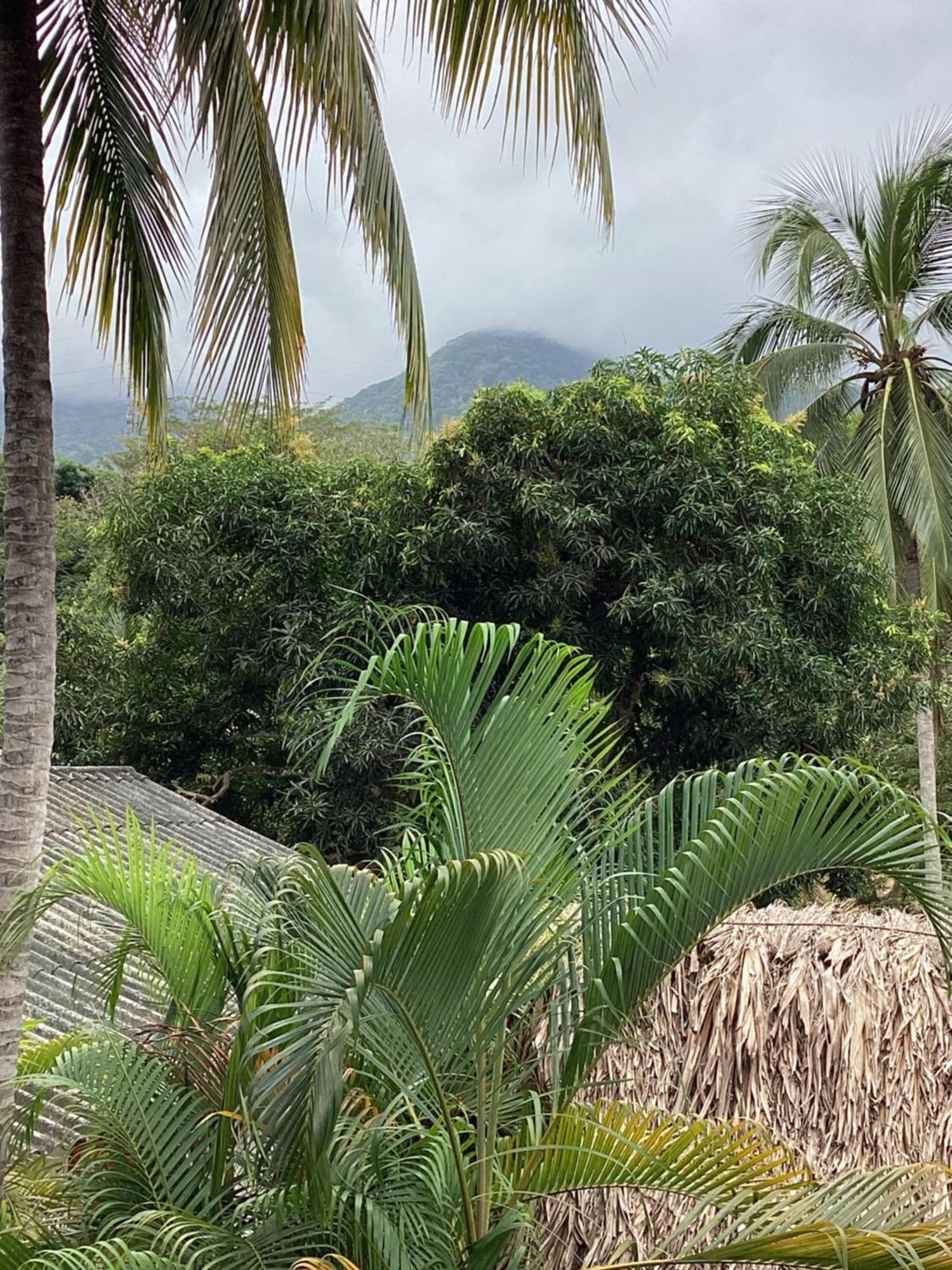 Hostal Antawara Tayrona El Zaino Exteriör bild